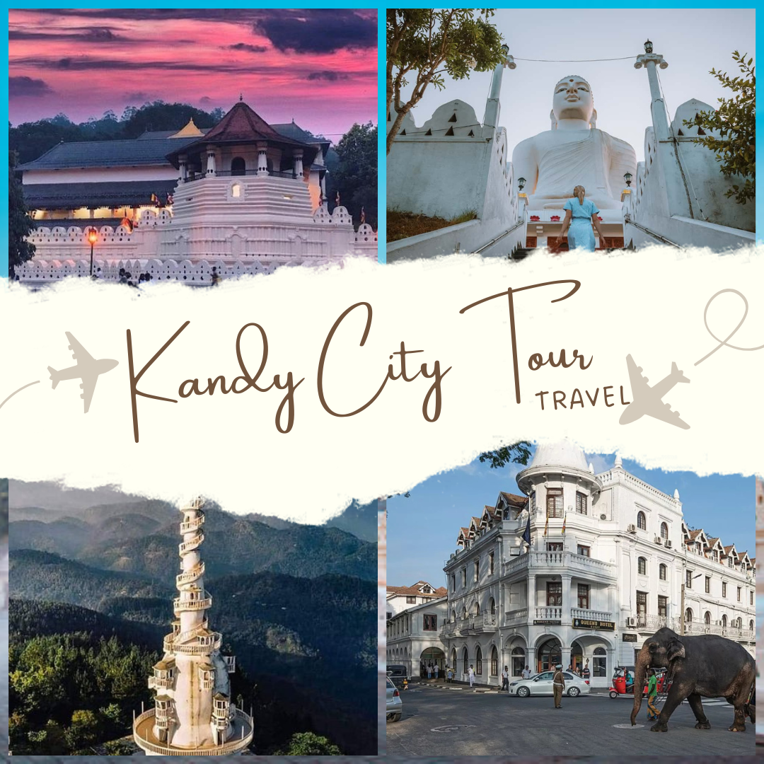 Kandy city tour packages
Kandy city tour from colombo
Kandy city tour itinerary
Kandy City Tour places
Kandy City tour price
Nuwara Eliya city tour
Kandy to Nuwara Eliya
Sri Lanka airport transfer Airport pickup Sri Lanka Reliable airport transfers Colombo Malee Travels airport pickup Airport transfer service Sri Lanka Sri Lanka city tour Private tours in Sri Lanka Tour packages Sri Lanka Sri Lanka sightseeing tours Sri Lanka adventure tours Sri Lanka day tours Comfortable vehicles for airport transfer Luxury vehicle tours Sri Lanka Private car hire Sri Lanka Malee Travels vehicles Airport transfer vehicles Colombo Beautiful beaches Sri Lanka Explore Sri Lanka Sri Lanka nature tours Sri Lanka cultural tours Sri Lanka landscapes Sri Lanka scenic views Happy travelers Sri Lanka Sri Lanka travel experience Tourists enjoying Sri Lanka tours Family tours in Sri Lanka Group tours Sri Lanka Sri Lanka Airport taxi price list Airport transfers Sri Lanka Colombo Airport shuttle bus Colombo Airport transfer Colombo Airport transfers to city Colombo Airport pickup Taxi services in Sri Lanka Airport transport service