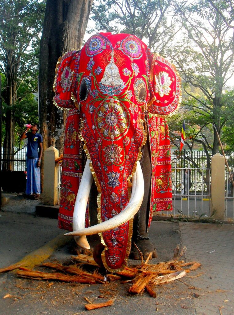 malee-travels Malee travels tour packages Malee travels and tourse Malee travels reviews Malee travels sri lanka Sri Lanka tour packages Airport transfers Sri Lanka Best Sri Lanka travel agency Private tours Sri Lanka Sri Lanka sightseeing tour Colombo airport pickup Sri Lanka airport taxi service Private vehicle hire Sri Lanka KDH van rental Sri Lanka Budget car rental Sri Lanka Best places to visit in Sri Lanka Sri Lanka adventure tours Cultural tours Sri Lanka Private guided tours Sri Lanka Sri Lanka honeymoon packages Tailor-made Sri Lanka tours Affordable Sri Lanka tour packages Luxury tours Sri Lanka Sri Lanka day tours Family tour packages Sri Lanka Budget-friendly hotels Sri Lanka Apartment rentals in Sri Lanka Tour guides in Sri Lanka Best travel experience in Sri Lanka Sri Lanka vacation planning