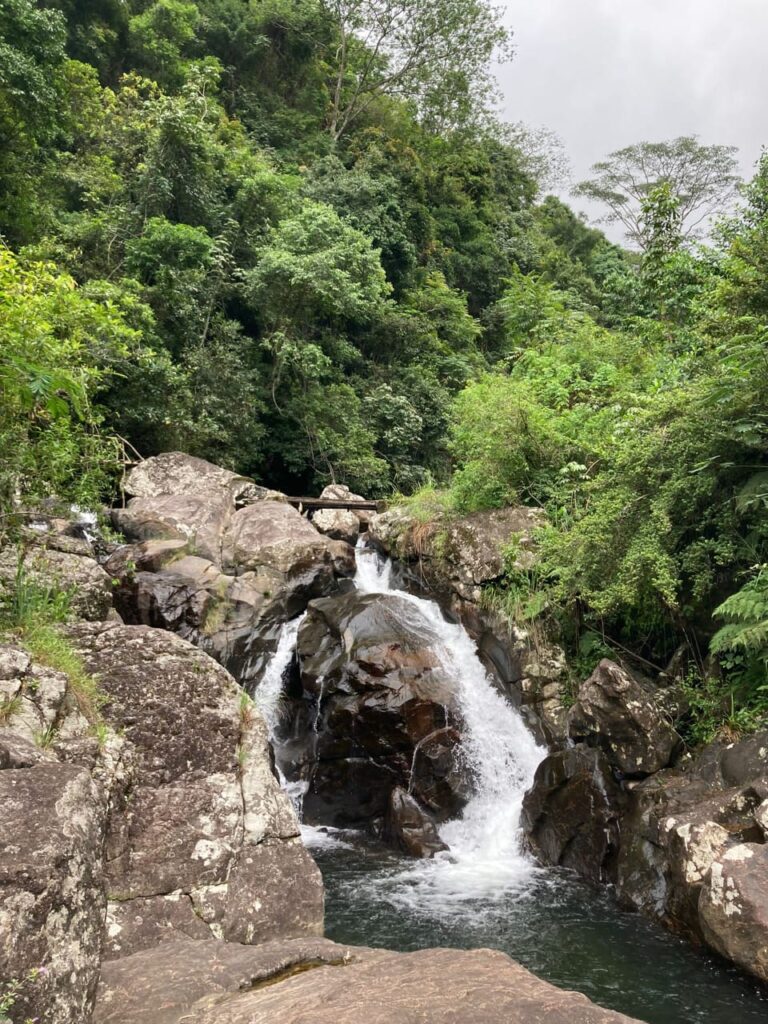 Img 20250326 wa0046