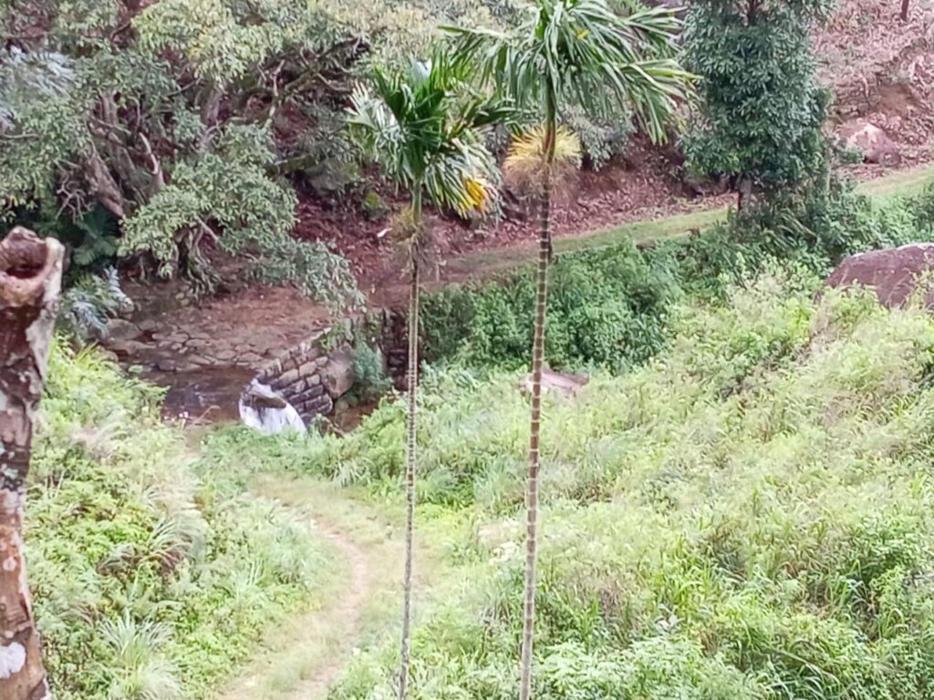 Img 20250326 wa0065