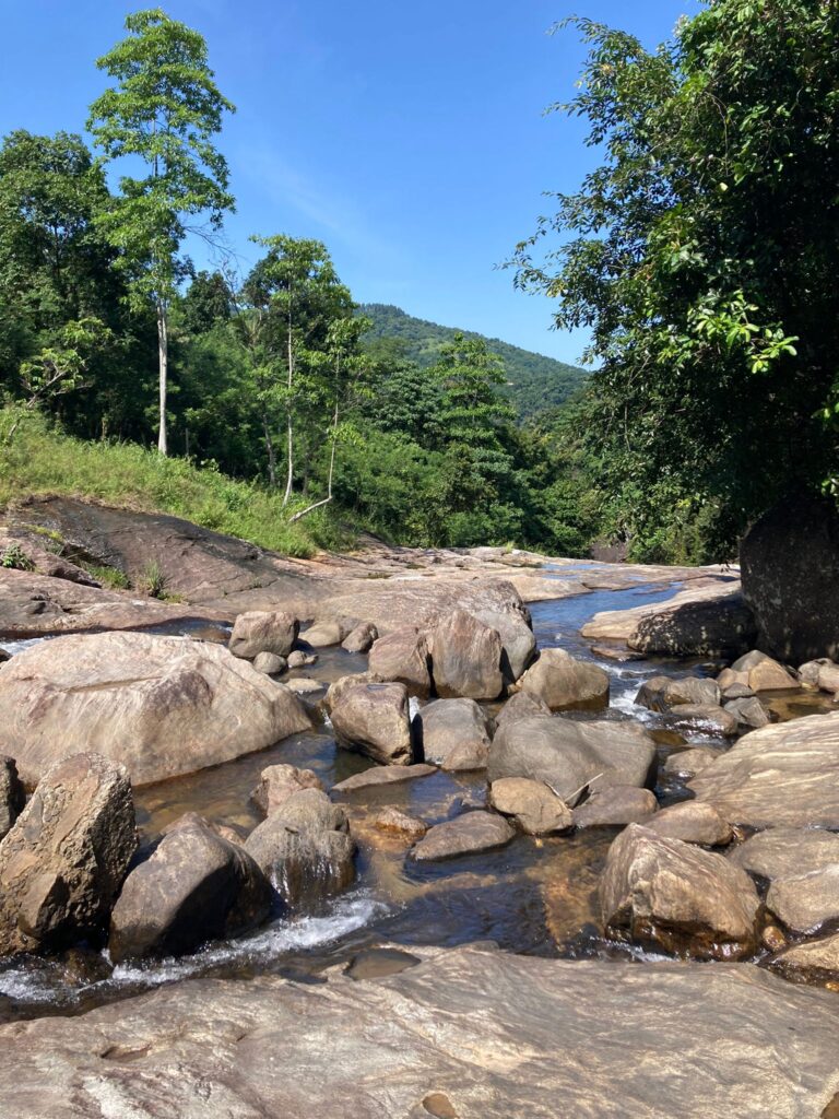 Img 20250326 wa0077