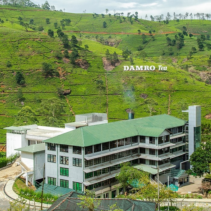 Labookellie tea factory min